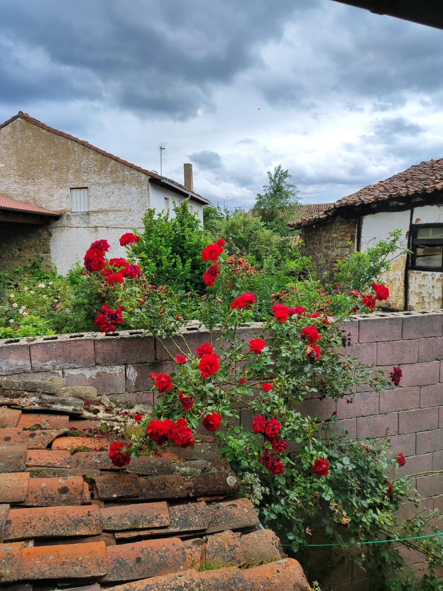 Casa Simon Pension Cervera De Pisuerga Buitenkant foto